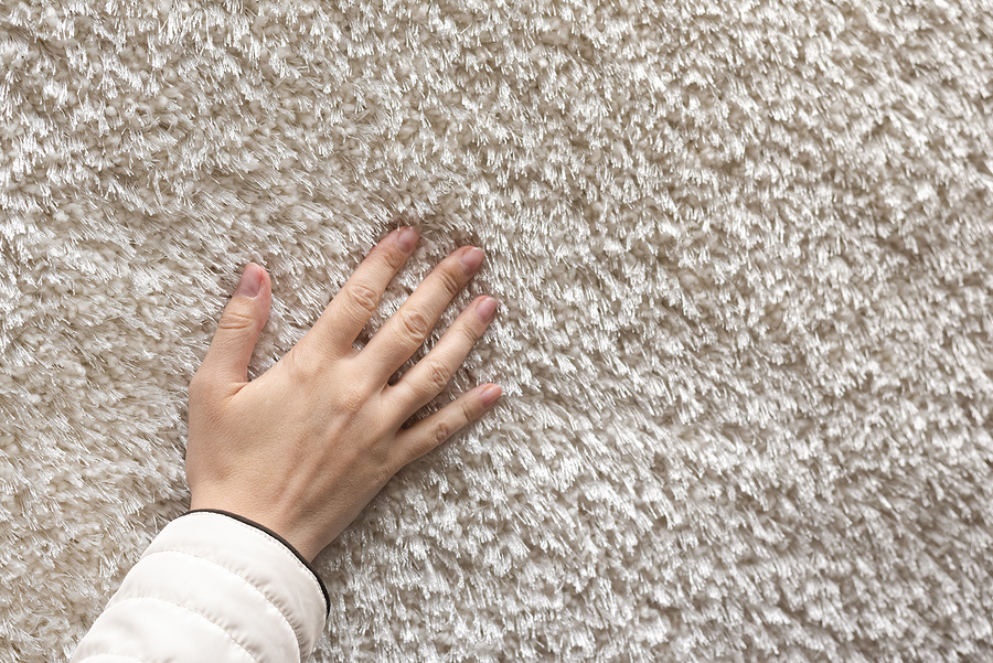 professional carpet cleaning