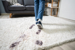 Muddy footprints across a white shag rug