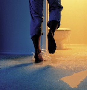 Water damage st louis water extraction and repair E&B carpet
