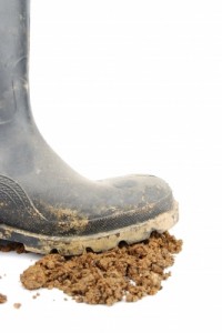 Take off your shoes E&B Carpet Cleaning Blog