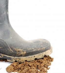 Take your shoes off E&B Carpet Cleaning Blog