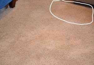 carpet and couch cleaning dark spots E&B Carpet