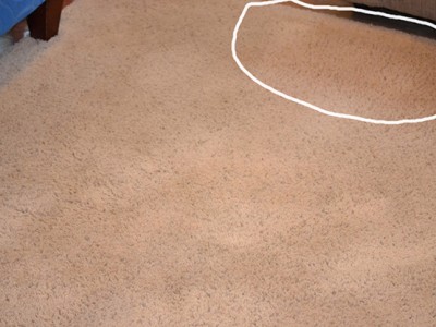 carpet and couch cleaning dark spots E&B Carpet