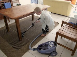 Vacuum cleaner tips E&B Carpet blog
