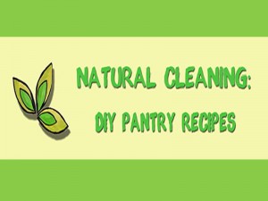 E&B Carpet Natural Cleaning DIY Pantry recipes