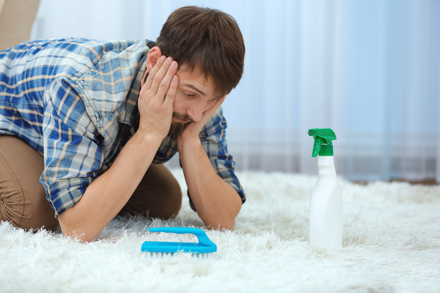 What Carpet Cleaner Kills Fleas 