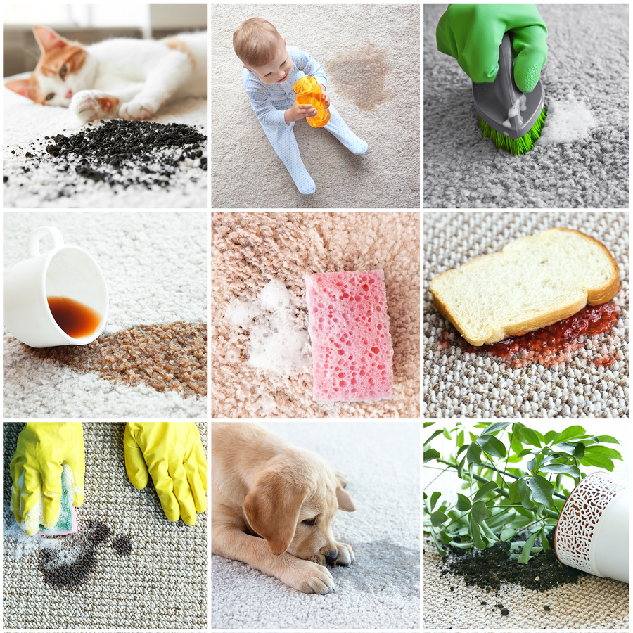 4 Common Summer Carpet Stains and How to Treat Them E&B Carpet Cleaning