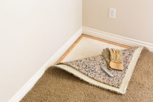 get mold out of carpet