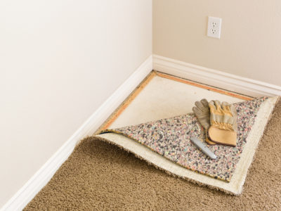 get mold out of carpet