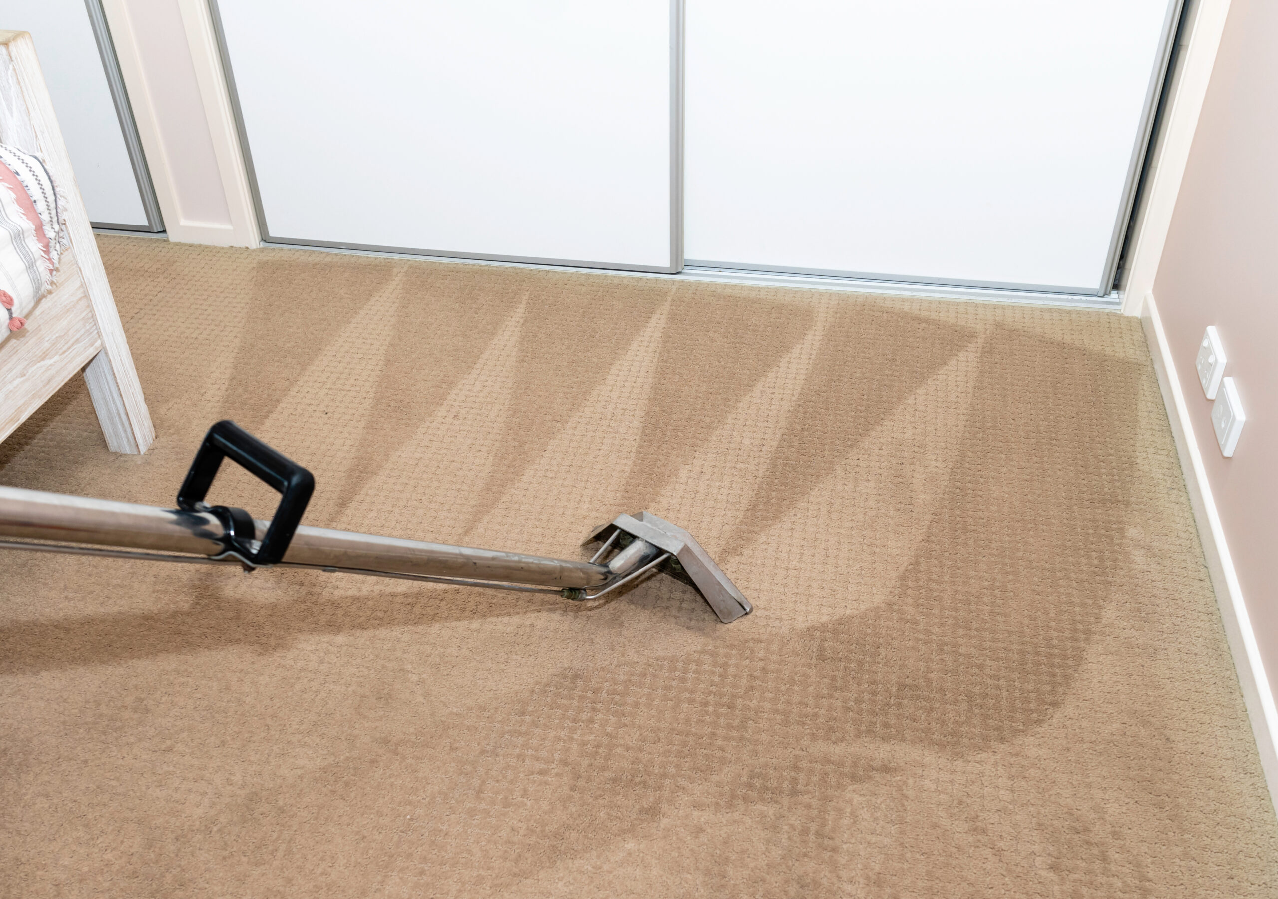 How to Clean Moldy Carpet DIY vs. Professional Methods E&B Carpet